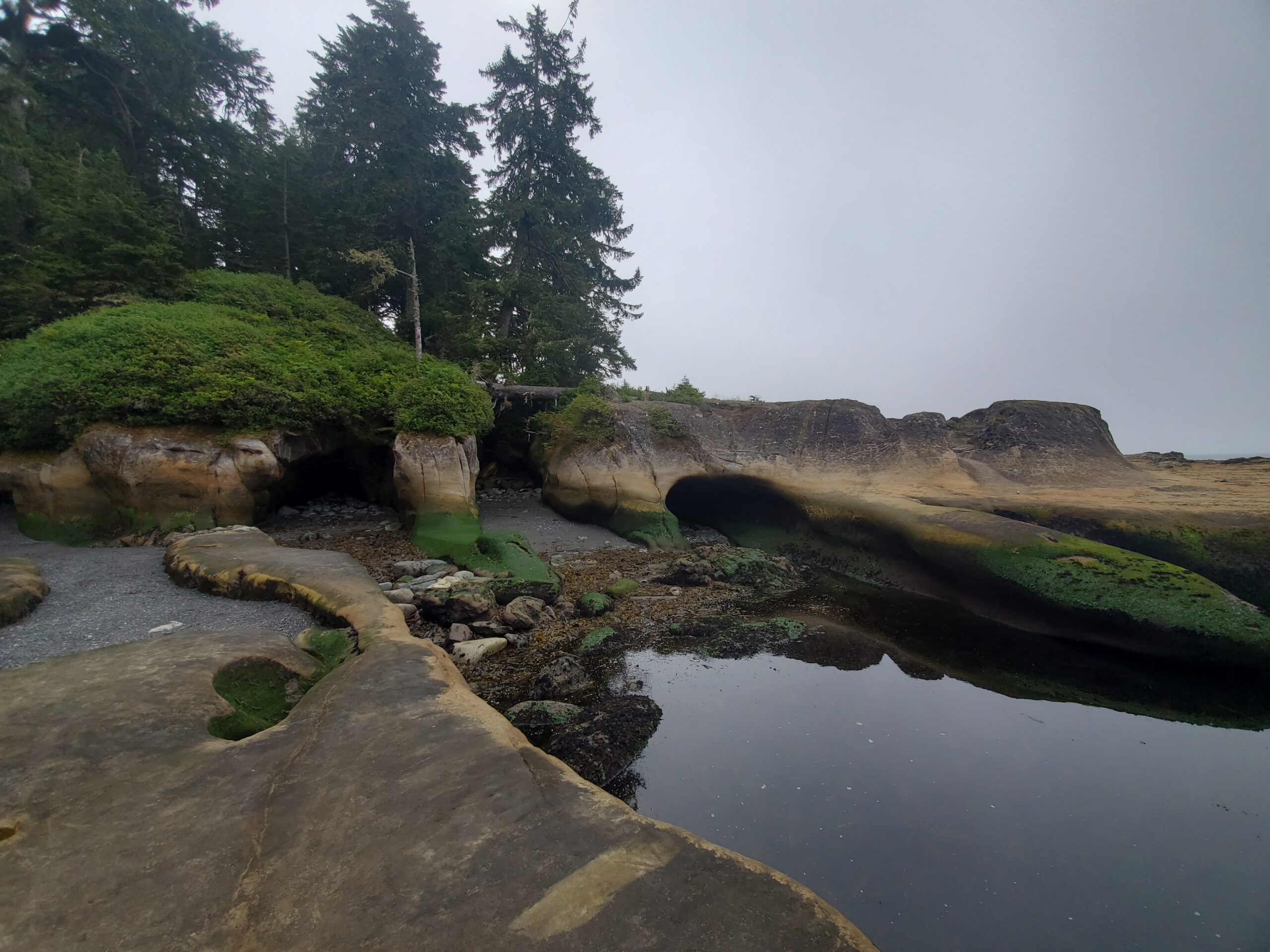 A picture of the rock formation along the coast of the Juan De Fuca trail. The bare rocks have various patches of moss, and are completely smooth from erosion.