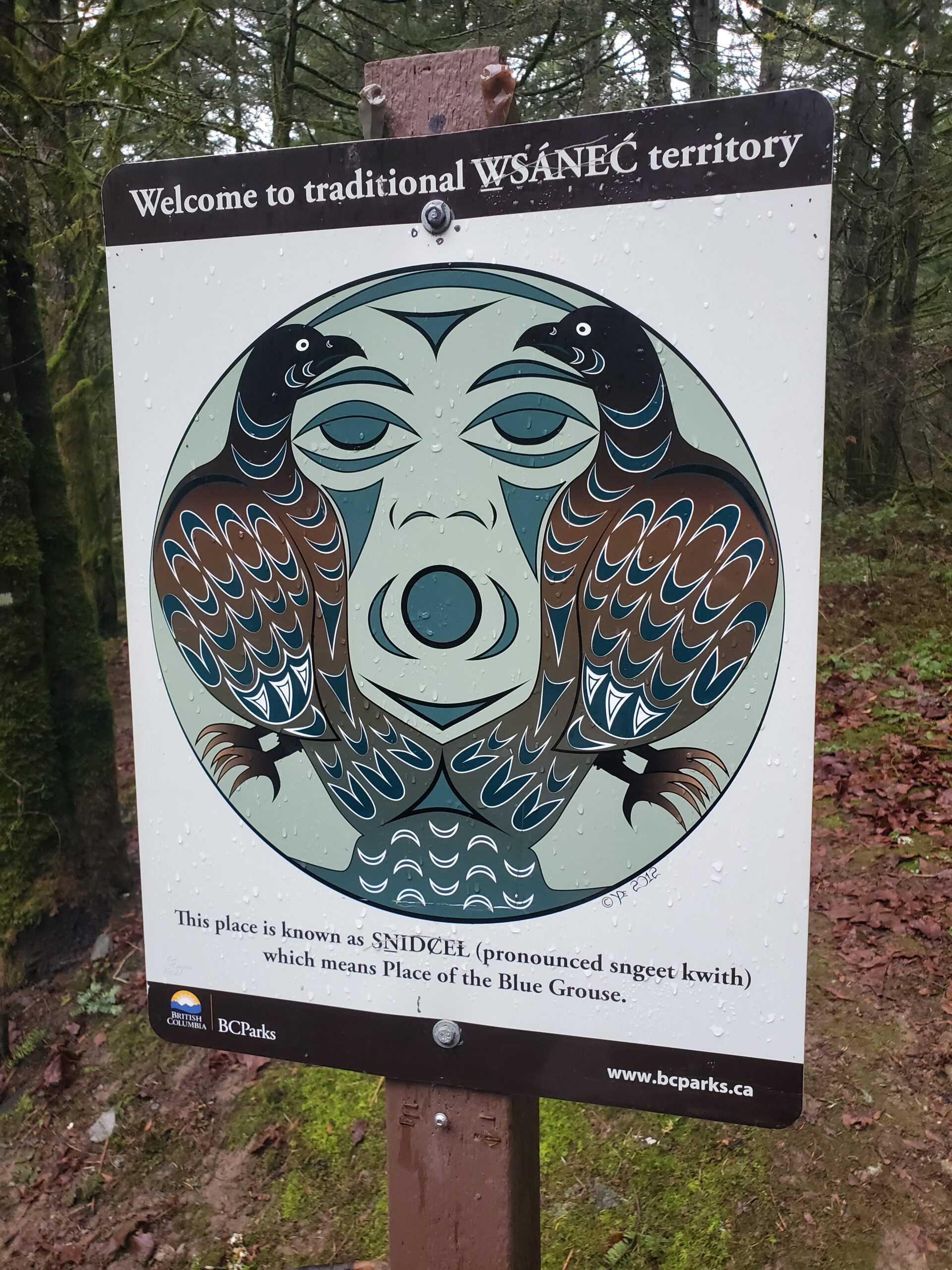 A picture of a sign, indicating that the trail is on the traditional W̱SÁNEĆ territory. In the middle of the sign, an indigenous piece of artwork with two birds and a face between them. Below the art is some information stating, "This place is known as SṈIDȻEȽ (pronounced sngeet kwith) which means Place of the Blue Grouse."