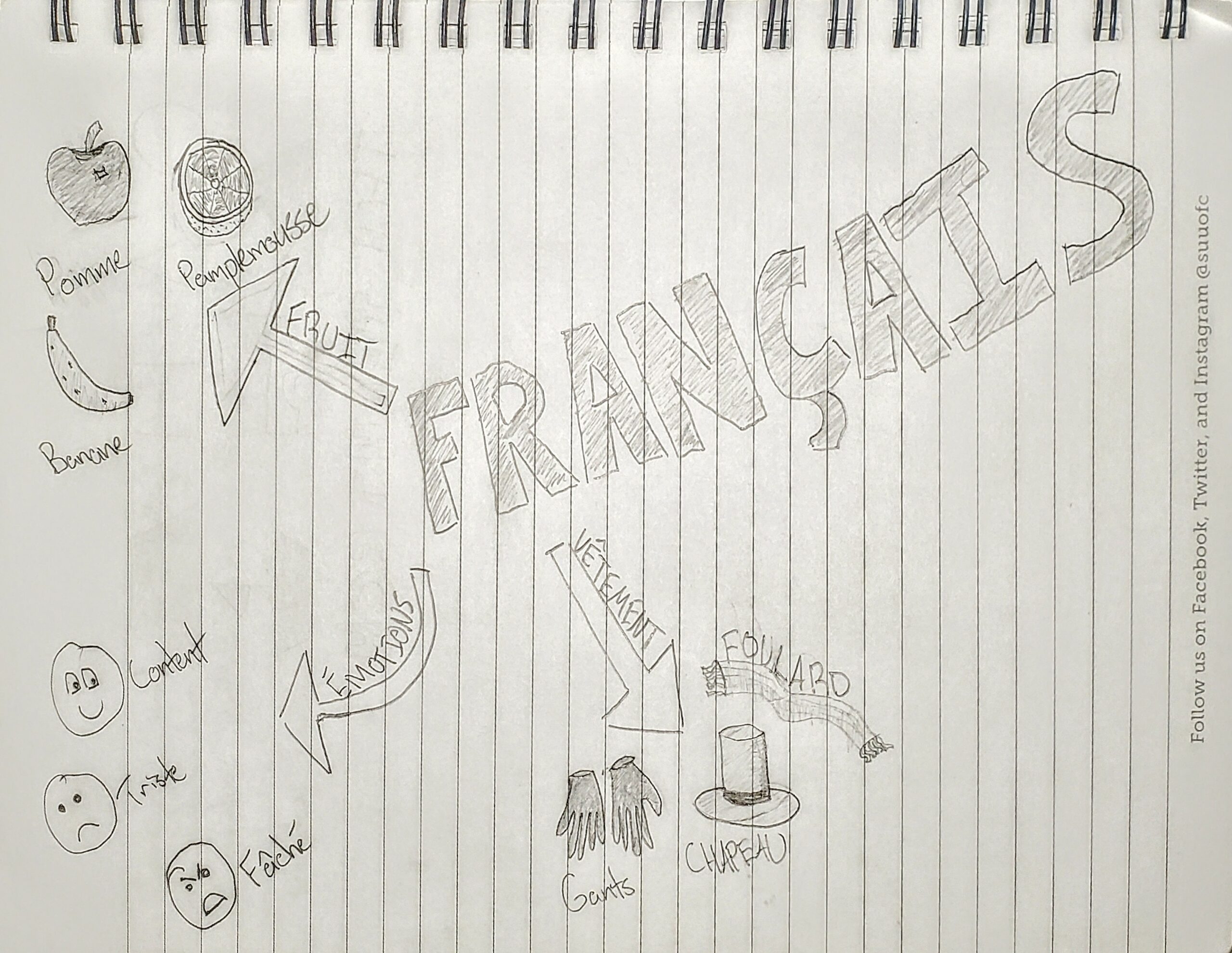 A paper with sketched notes. The notes include FRANÇAIS with arrows pointing three different directions. The first pointing towards sketches of fruit, with them all labeled in French. The second towards sketches of faces making emotions, again labeled in French. The last arrow points towards articles of clothing, all labeled in French.