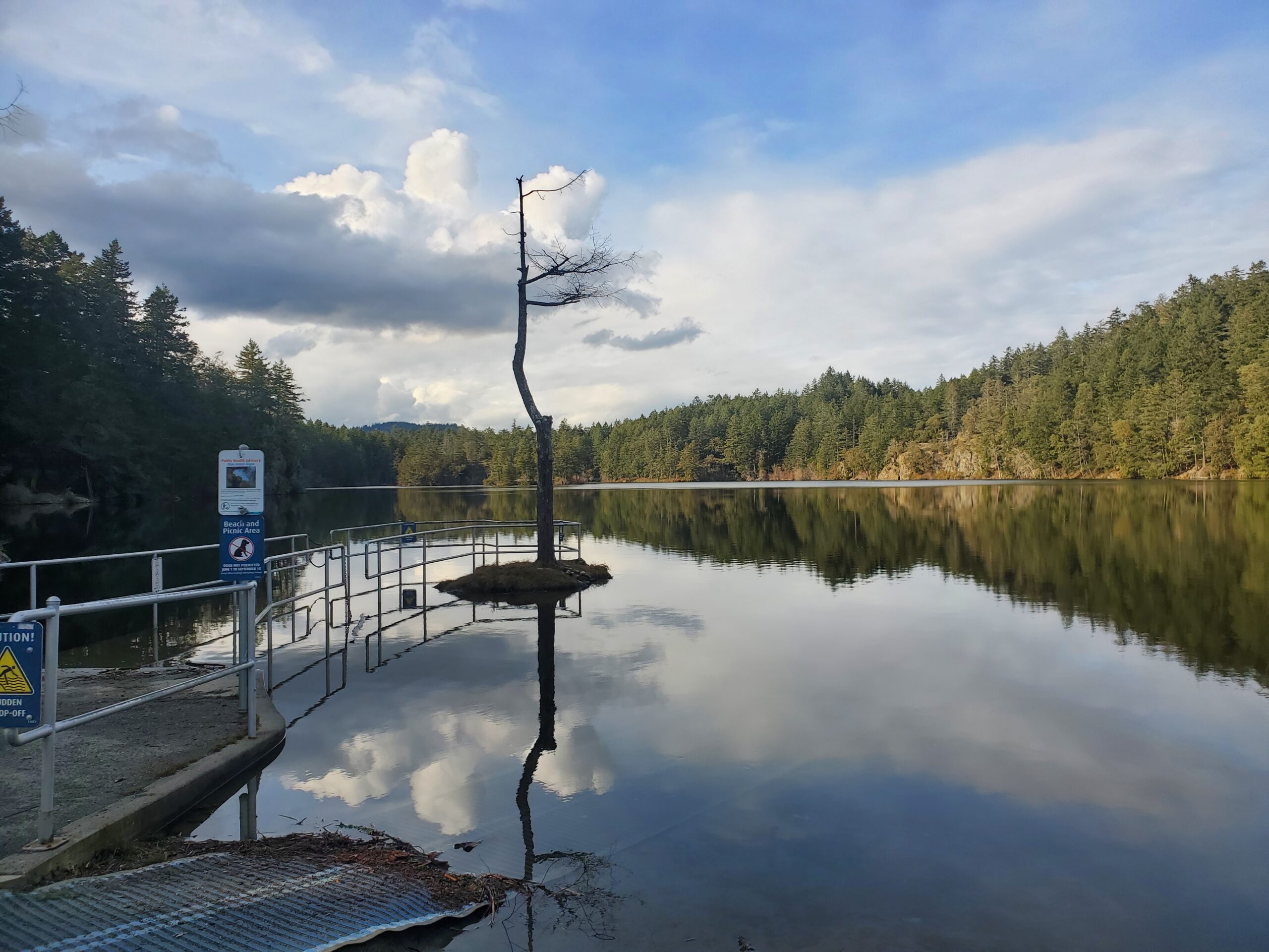 A photo from the beach as you first enter or exit Thetis Lake. The photo shows the blue sky reflecting off of the water, along with a landscape of trees in the background surrounding the lake.