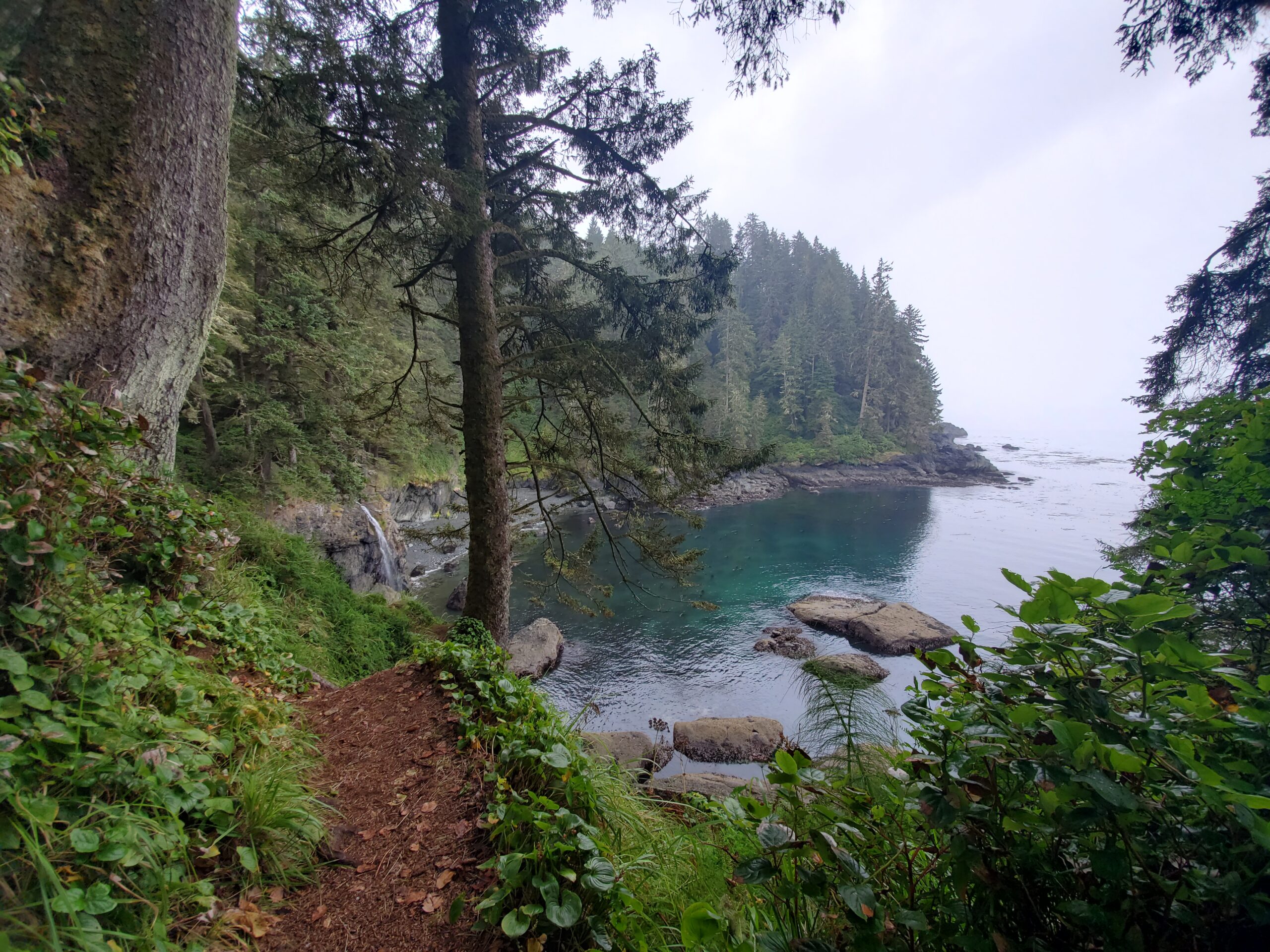 A scenic photo of the Juan De Fuca trail, with half the photo featuring the lush green forest and beach running along the coast, the other half features the calm ocean that wraps along the coast.